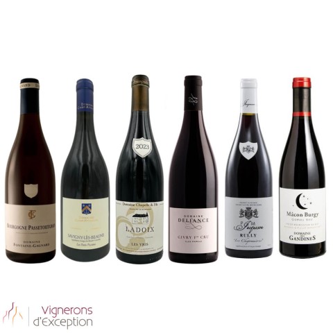 Bourgogne Rouges Discrets bouteilles