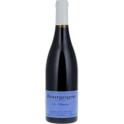 Domaine Sylvain Pataille Bourgogne Le Chapitre rouge 2022 bouteille