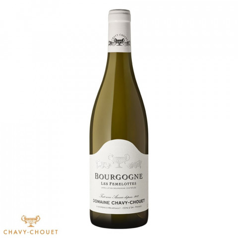 Domaine Chavy-Chouet Bourgogne "Les Femelottes"  blanc sec 2024 bouteille