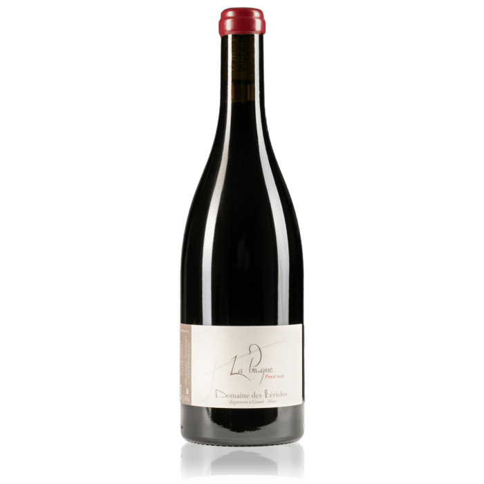 Domaine des Bérioles "La Prugne" rouge 2023 bouteille