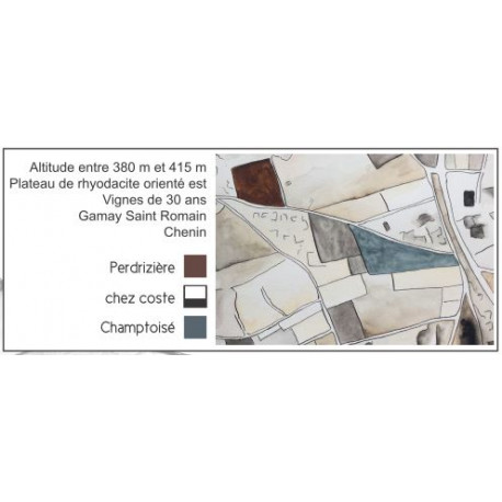 Domaine Sérol Côte Roannaise "Perdrizière" red 2024