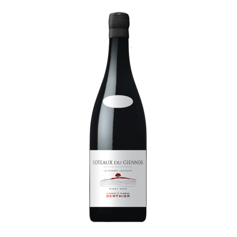 Domaine Berthier Coteaux du Giennois "Le Champ Jacquot" red 2022