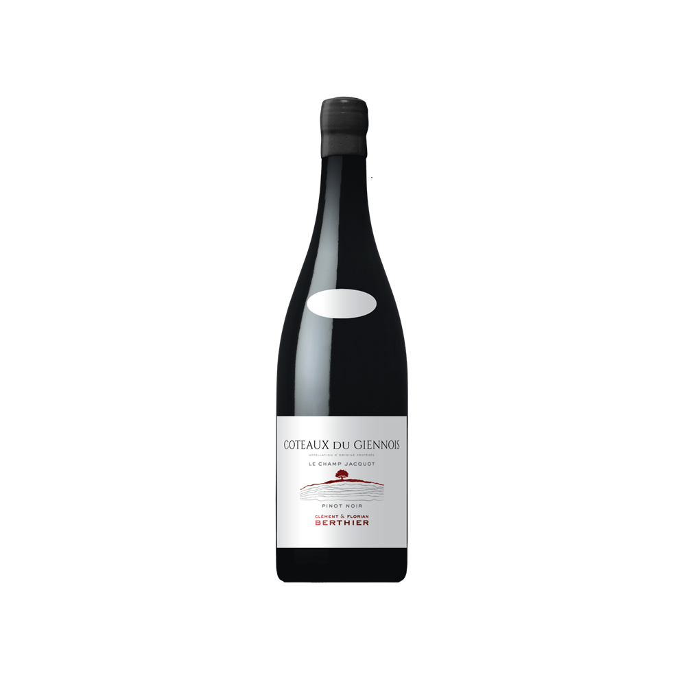 Domaine Berthier Coteaux du Giennois "Le Champ Jacquot" rouge 2022 bouteille