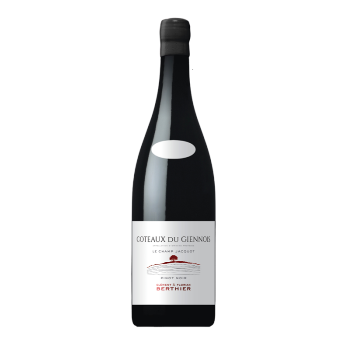 Domaine Berthier Coteaux du Giennois "Le Champ Jacquot" rouge 2022 bouteille