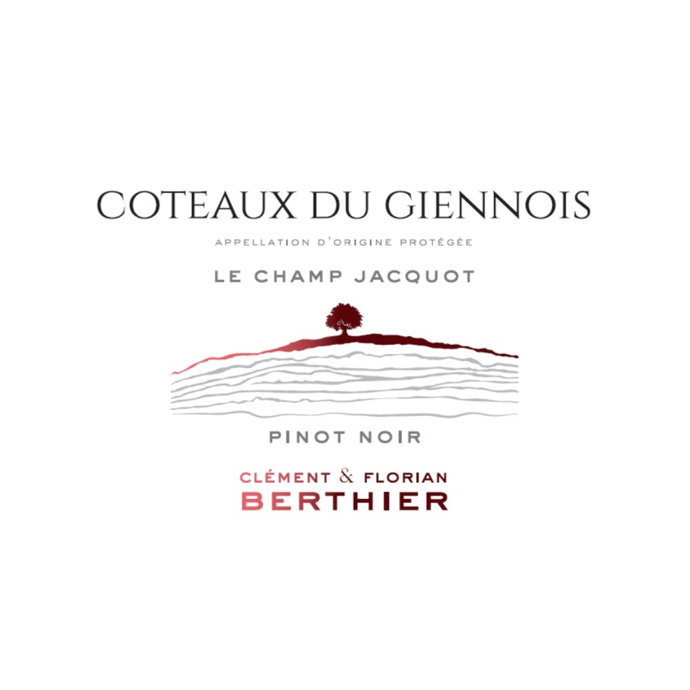 Domaine Berthier Coteaux du Giennois "Le Champ Jacquot" rouge 2022 etiquette