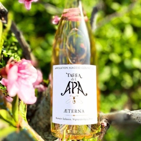 Domaine Tarra di l'Apa "Aeterna" rose 2025 bottle