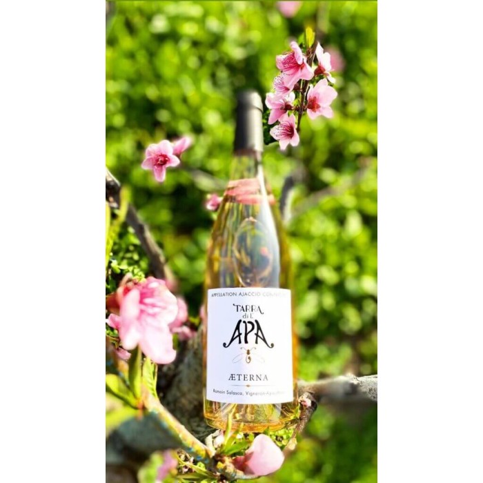Domaine Tarra di l'Apa "Aeterna" rose 2025 bottle