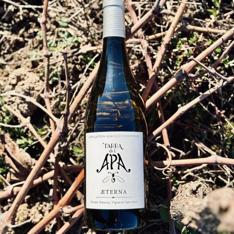 Domaine Tarra di l'Apa "Aeterna" dry white 2024 bottle