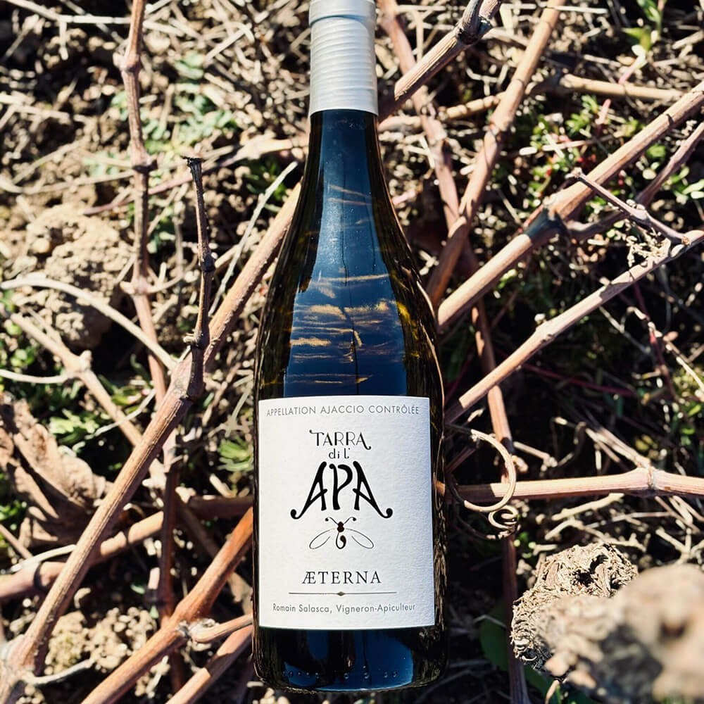Domaine Tarra di l'Apa "Aeterna" dry white 2024 bottle