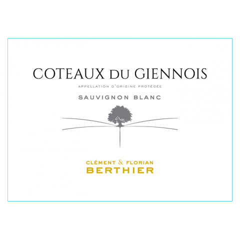 Domaine Berthier Coteaux du Giennois dry white 2024 2