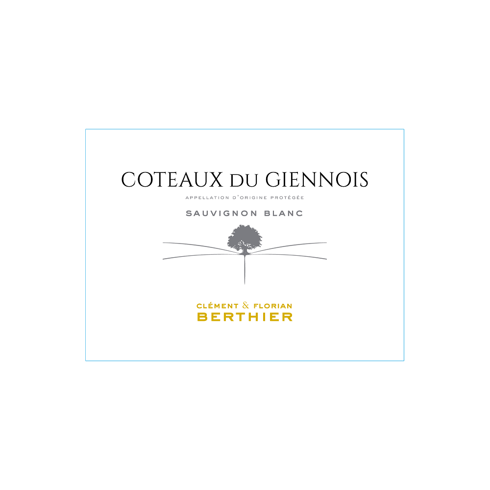 Domaine Berthier Coteaux du Giennois blanc sec 2025 etiquette