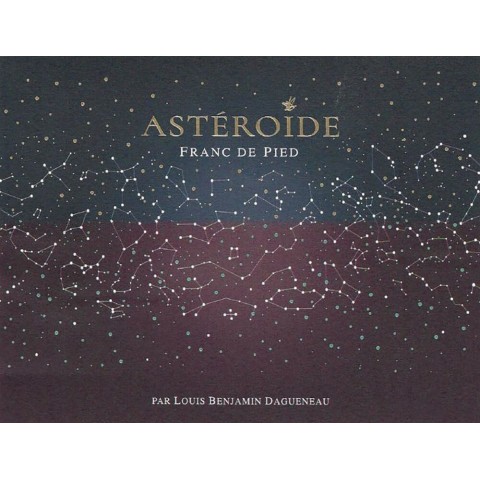 Domaine Didier Dagueneau Pouilly Fumé "Astéroïde" blanc sec 2020 étiquette