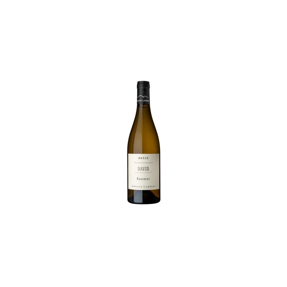 Domaine Arnaud Lambert Saumur (Brézé) "David" blanc sec 2023 bouteille