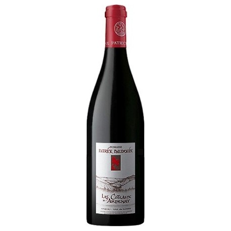 Domaine Patrick Baudouin Les Coteaux d'Ardenay red 2014