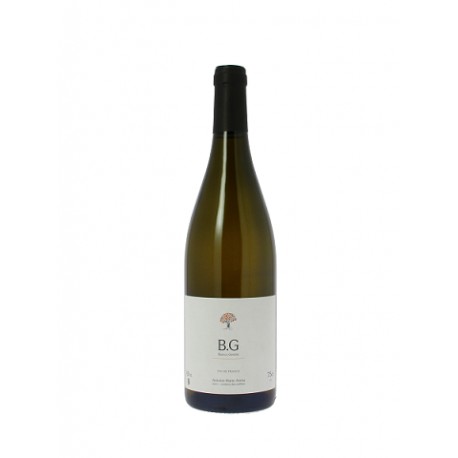 Domaine Antoine-Marie Arena Bianco gentile blanc sec 2015 bouteille