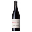 Domaine Arnaud Lambert Saumur Champigny "Montée des Roches" rouge 2015 bouteille
