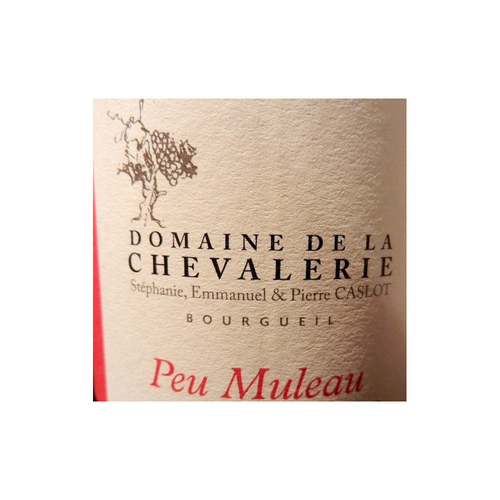 Domaine de La Chevalerie Bourgueil "Peu Muleau" red 2011