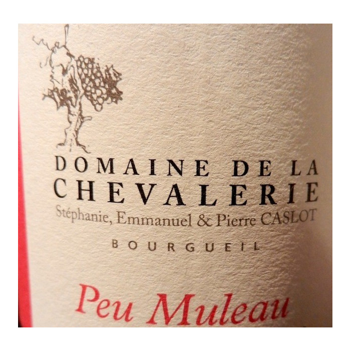 Domaine de La Chevalerie Bourgueil "Peu Muleau" red 2011