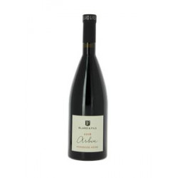 Domaine Blard Savoie "Pierre Emile" (pinot noir) rouge 2017 etiquette