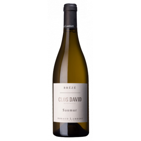 Domaine Arnaud Lambert Saumur (Brézé) "Clos David" dry white 2015