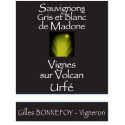 Les Vins de la Madone IGP Urfé "sauvignon gris et blanc" dry white 2019