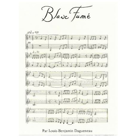 Domaine Didier Dagueneau "Blanc Fumé " blanc sec 2017 etiquette