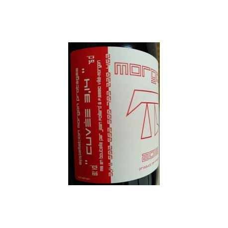 Domaine J. Foillard Fleurie  rouge 2009 (75 cl)