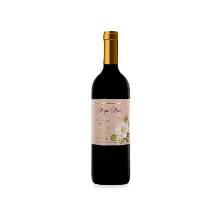 Domaine Peyre Rose Coteaux du Languedoc "Clos des Cistes" red 2010