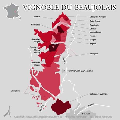beaujolais-carte-crus-gamay