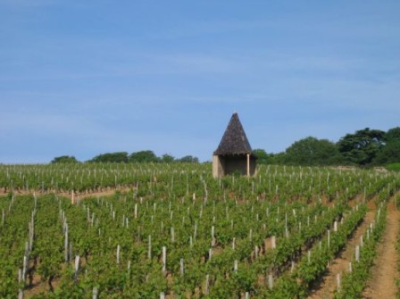 Le Clocheton du climat Les Quarts, AOC Pouilly-Vinzelles du Domaine La Soufrandière