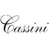 CASSINI